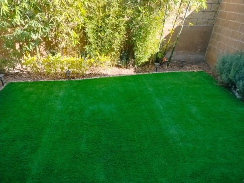 whatsapp_image_2025_02_26_at_3_46_02_pm_5_jpeg