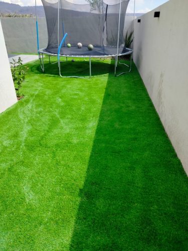 whatsapp_image_2025_02_26_at_3_46_02_pm_jpeg