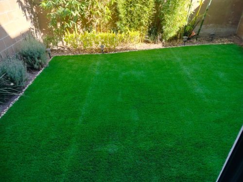 whatsapp_image_2025_02_26_at_3_46_03_pm_1_jpeg