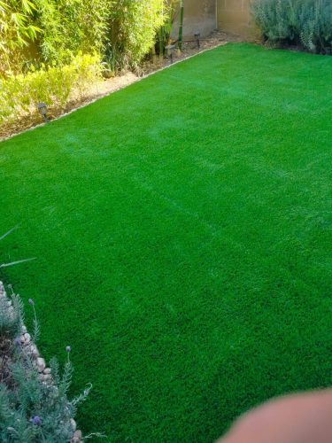 whatsapp_image_2025_02_26_at_3_46_03_pm_jpeg