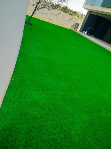 whatsapp_image_2025_04_07_at_7_52_58_pm_1_jpeg