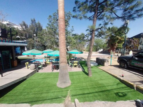 whatsapp_image_2025_04_09_at_2_42_17_pm_1_jpeg